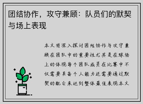 团结协作，攻守兼顾：队员们的默契与场上表现